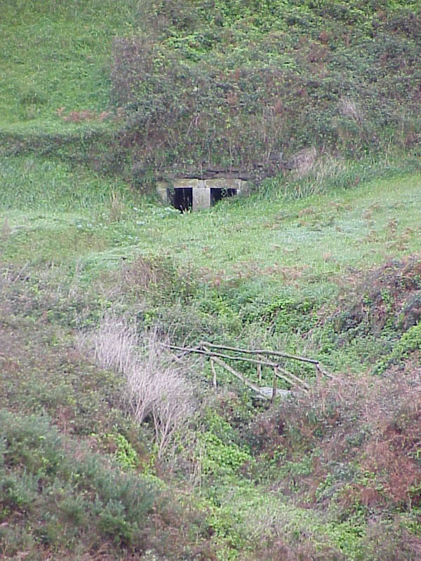 MVC-114X